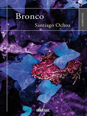 cover image of Bronco